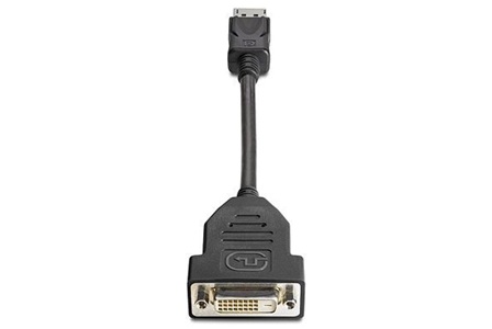 HP DisplayPort - DVI-D (Dual Link) Adapter