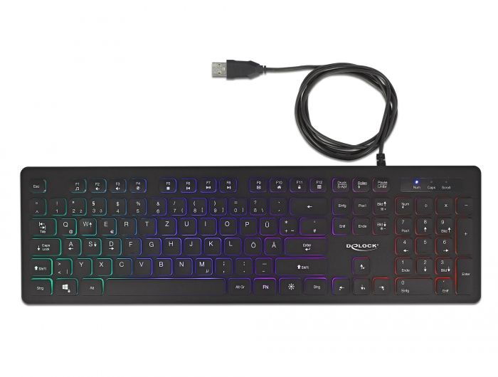 DeLock RGB Illumination USB Keyboard Black GERMAN