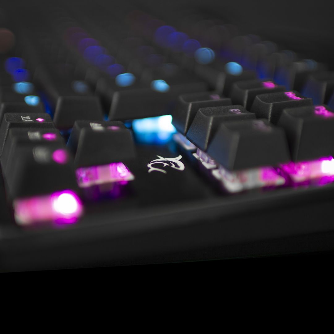 White Shark GK-1925 Spartan RGB Mechanikus keyboard Black US
