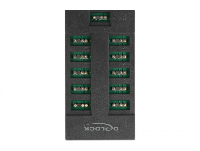 DeLock RGB Hub for ARGB LEDs with 10 ports
