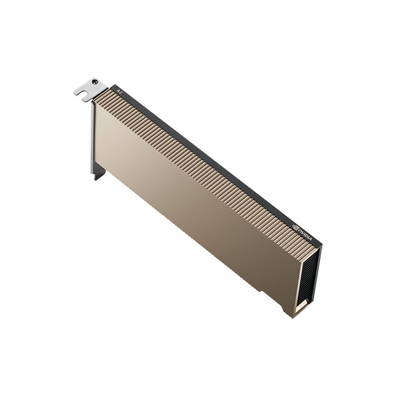 PNY NVIDIA A2 16GB DDR6