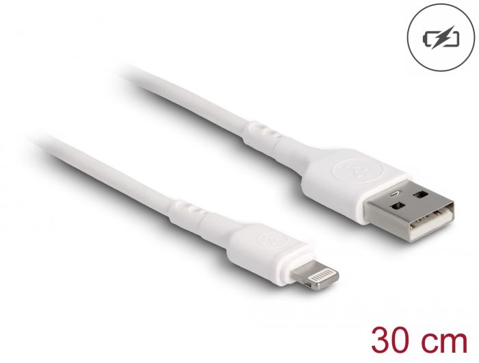 DeLock USB Charging Cable for iPhone/iPad/iPod 30cm White