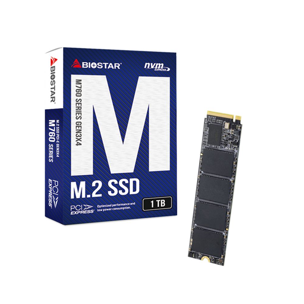 Biostar 1TB M.2 2280 NVMe M760